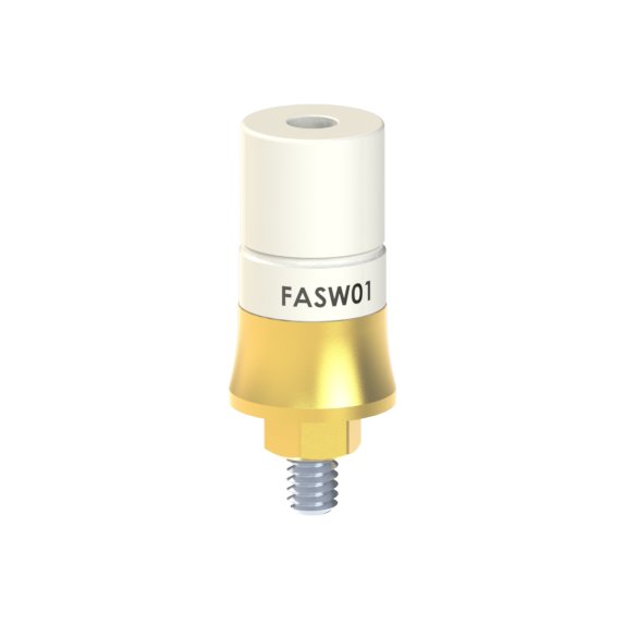 FA-SW-01