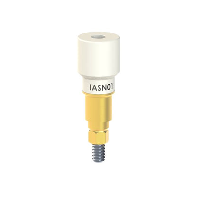 IA-SN-01