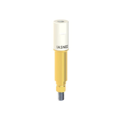 IA-SN-02