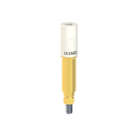 IA-SN-02