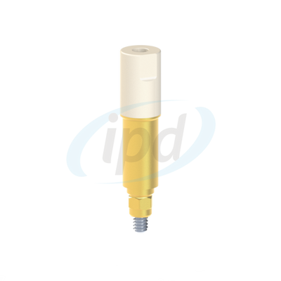 IPD-IASR02