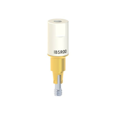 IB-SR-00