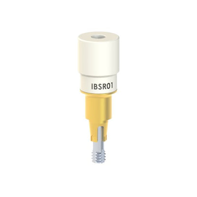 IB-SR-01
