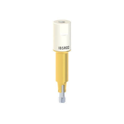 IB-SR-02