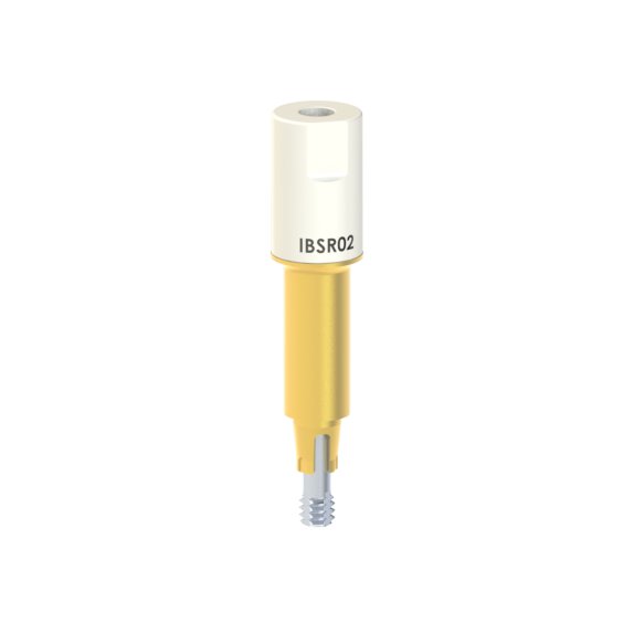 IB-SR-02