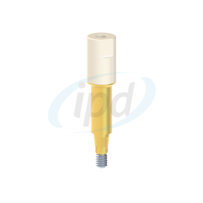 IPD-IBSR02