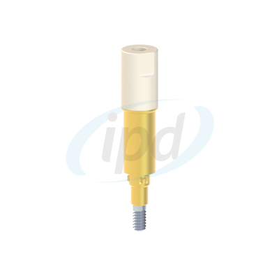 IPD-JASR02
