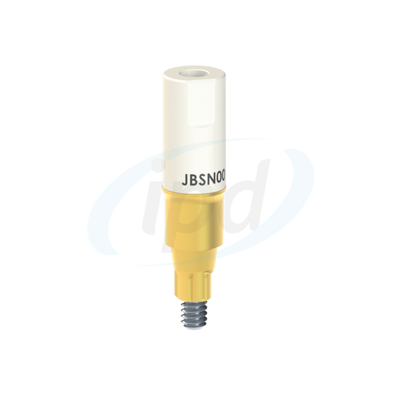 IPD-JBSN00