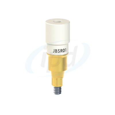 IPD-JBSR01