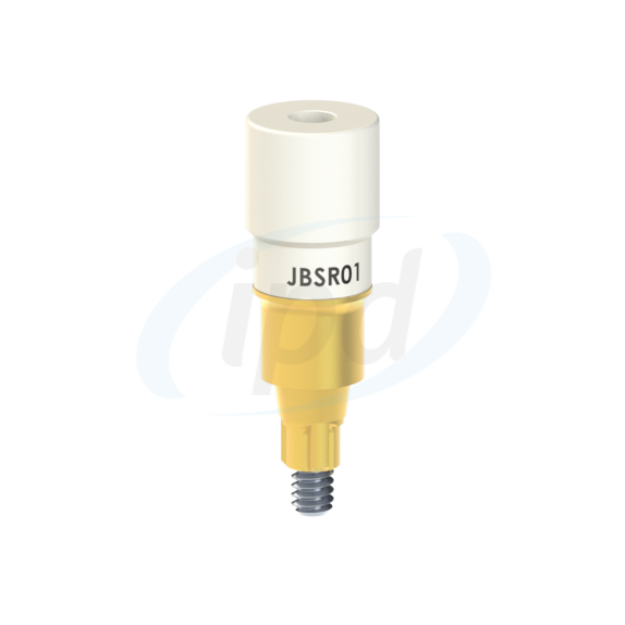 IPD-JBSR01