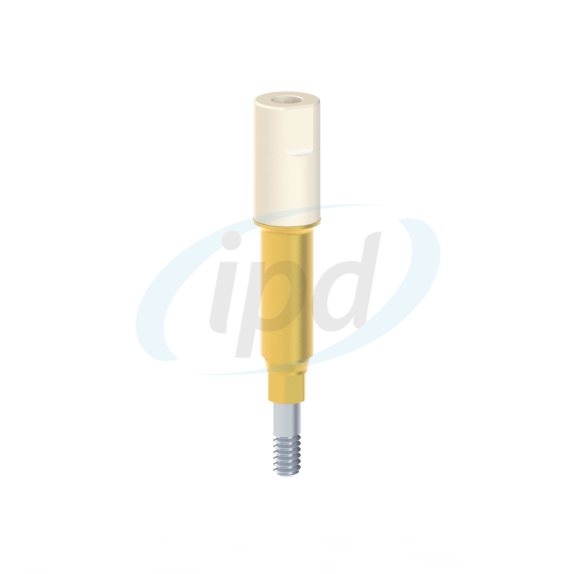 IPD-OBSN02