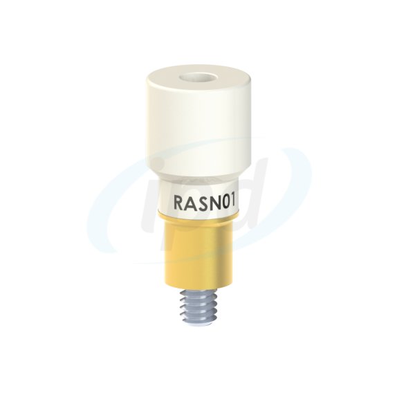 RA-SN-01