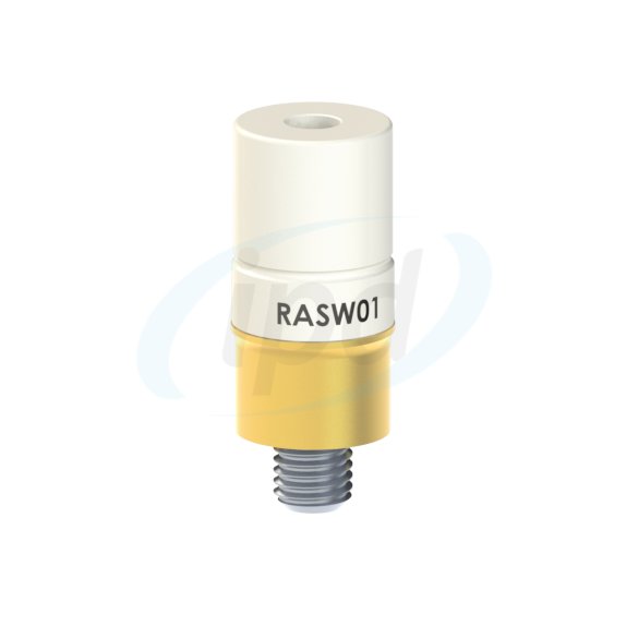 RA-SW-01