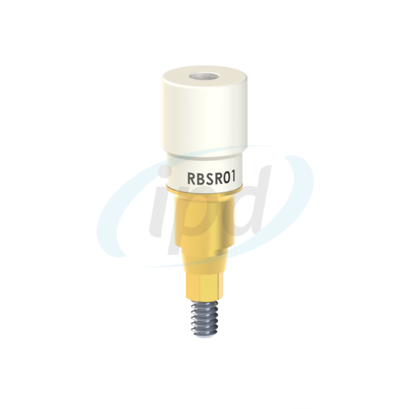 IPD-RBSR01