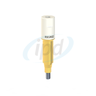 IPD-RBSR02
