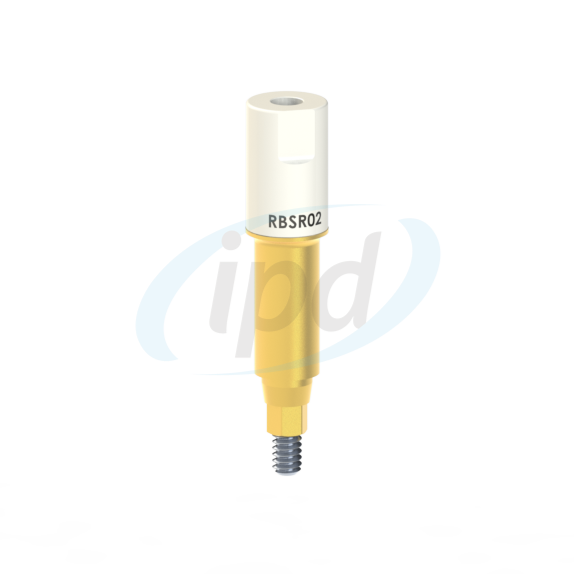 IPD-RBSR02