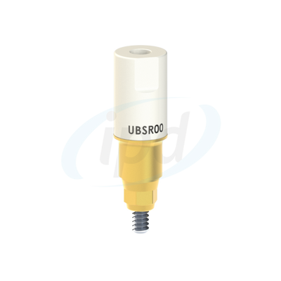 IPD-UBSR00