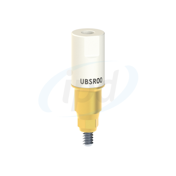 IPD-UBSR00