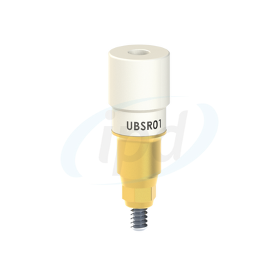 IPD-UBSR01