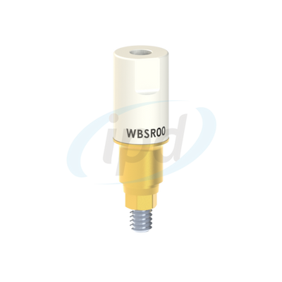 IPD-WBSR00