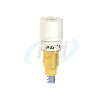IPD-WBSR01