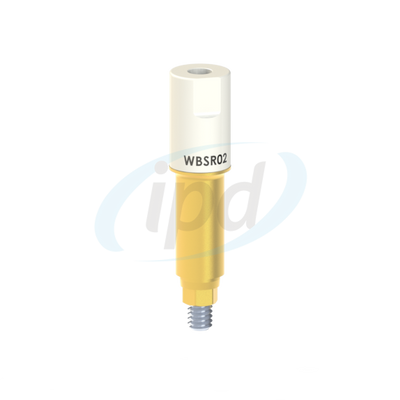 IPD-WBSR02