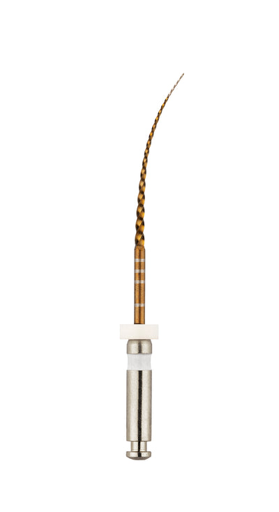 SS PRO ZS1 03