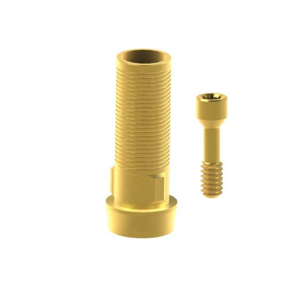 aa-in-02-3d__tin