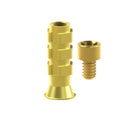 Angled screw