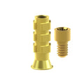 TiN screw
