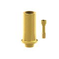 Angled screw