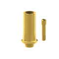 TiN screw
