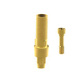 Angled screw