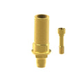 Angled screw