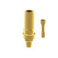 Angled screw