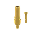 Angled screw