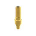 Custom Ti-Base – Biomet® 3i Osseotite Certain – RP Ø4.1 – Engaging – Digital – GH 2.5