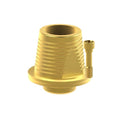 Angled screw