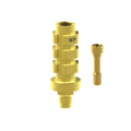 Angled screw