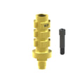 Black screw