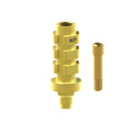 TiN screw