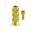 Angled screw