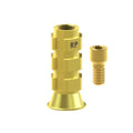TiN screw