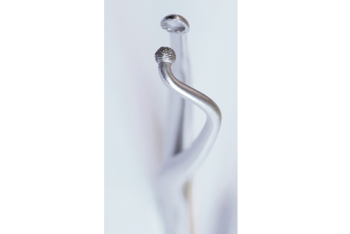 MJK Bone block holder
