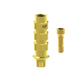 Angled screw