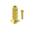 Angled screw