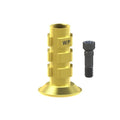 Black screw