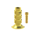 TiN screw