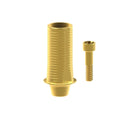 Angled screw