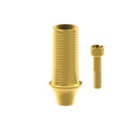 Angled screw